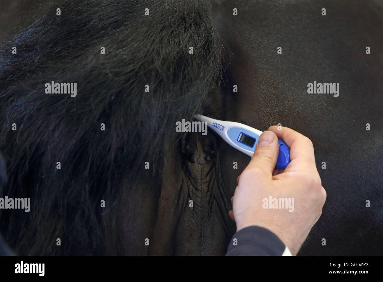 Rectal thermometer hires stock photography and images Alamy