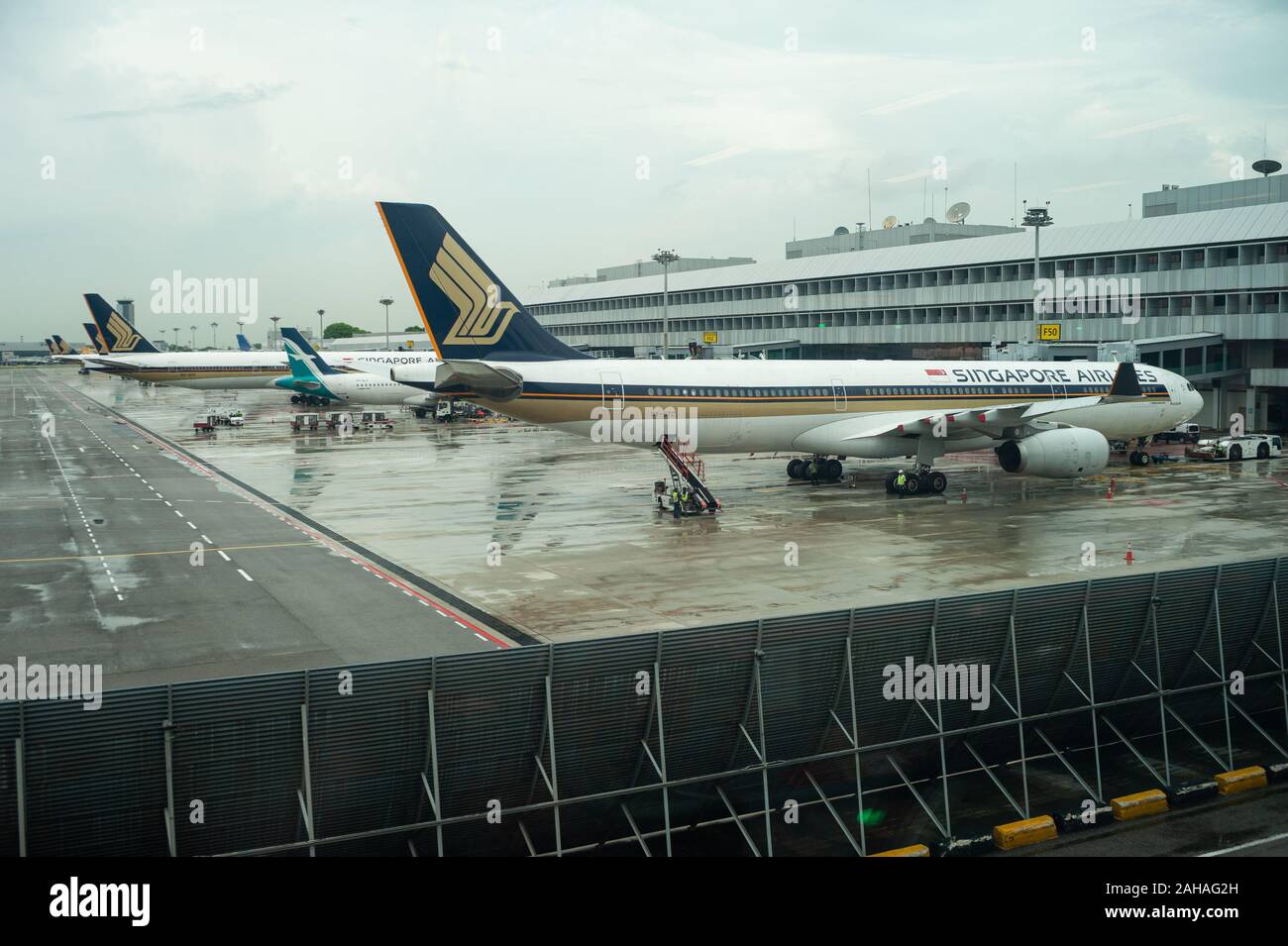 15.11.2019, Singapur, , Singapore - A Singapore Airlines Airbus A330-300 passenger aircraft at Changi Airport. The airline is a member of the Star All Stock Photo