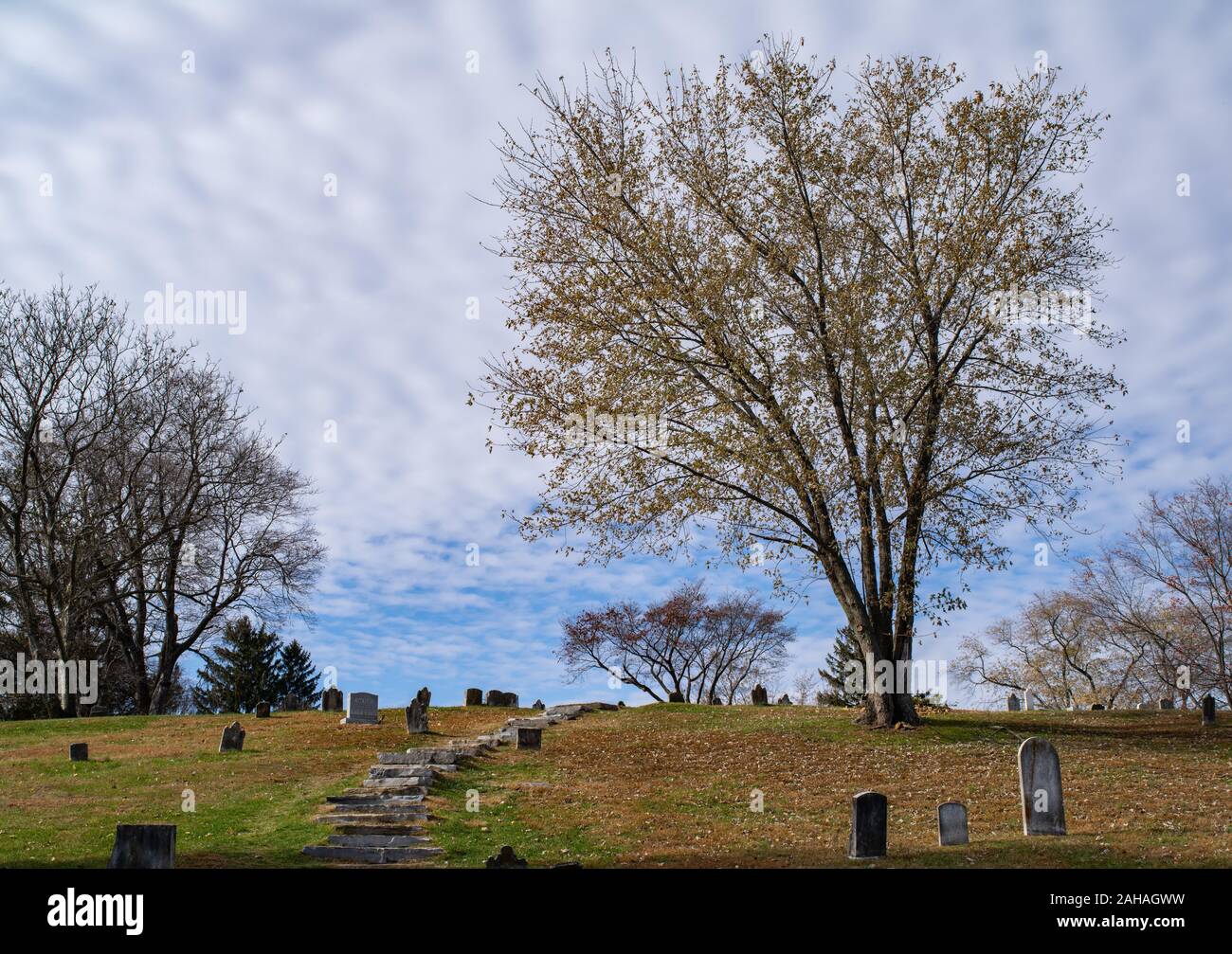 A large tree, steps and graves sit atop a hill Stock Photo - Alamy