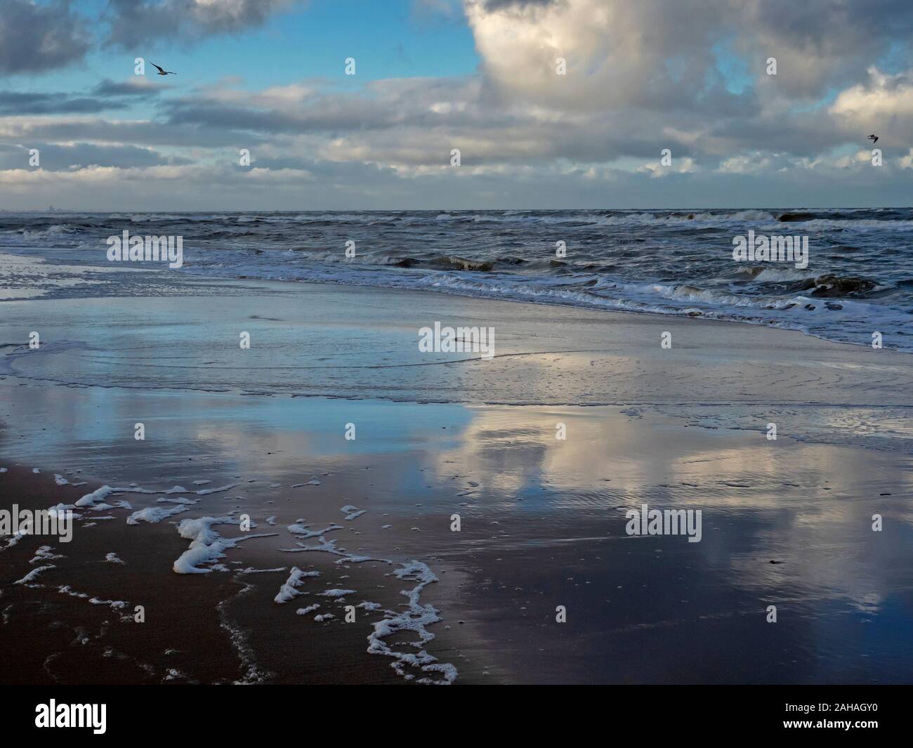 Dramatic blue sky with white clouds reflected on the wet beach at low tide at Noordwijk in The Netherlands Stock Photo