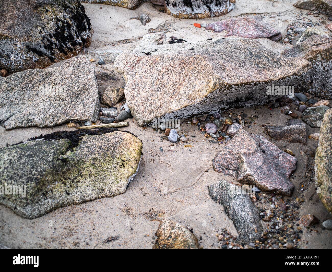 Closeup of dried out seaweed and stones that have been exposed at low tide. Stock Photo