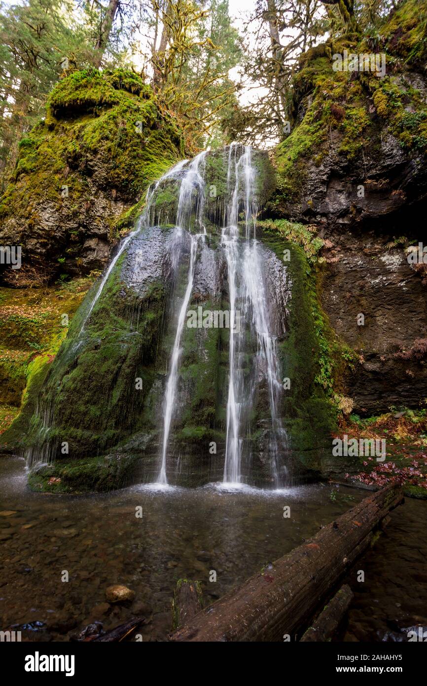 Spirit Falls Umpqua National Forest in Oregon Stock Photo