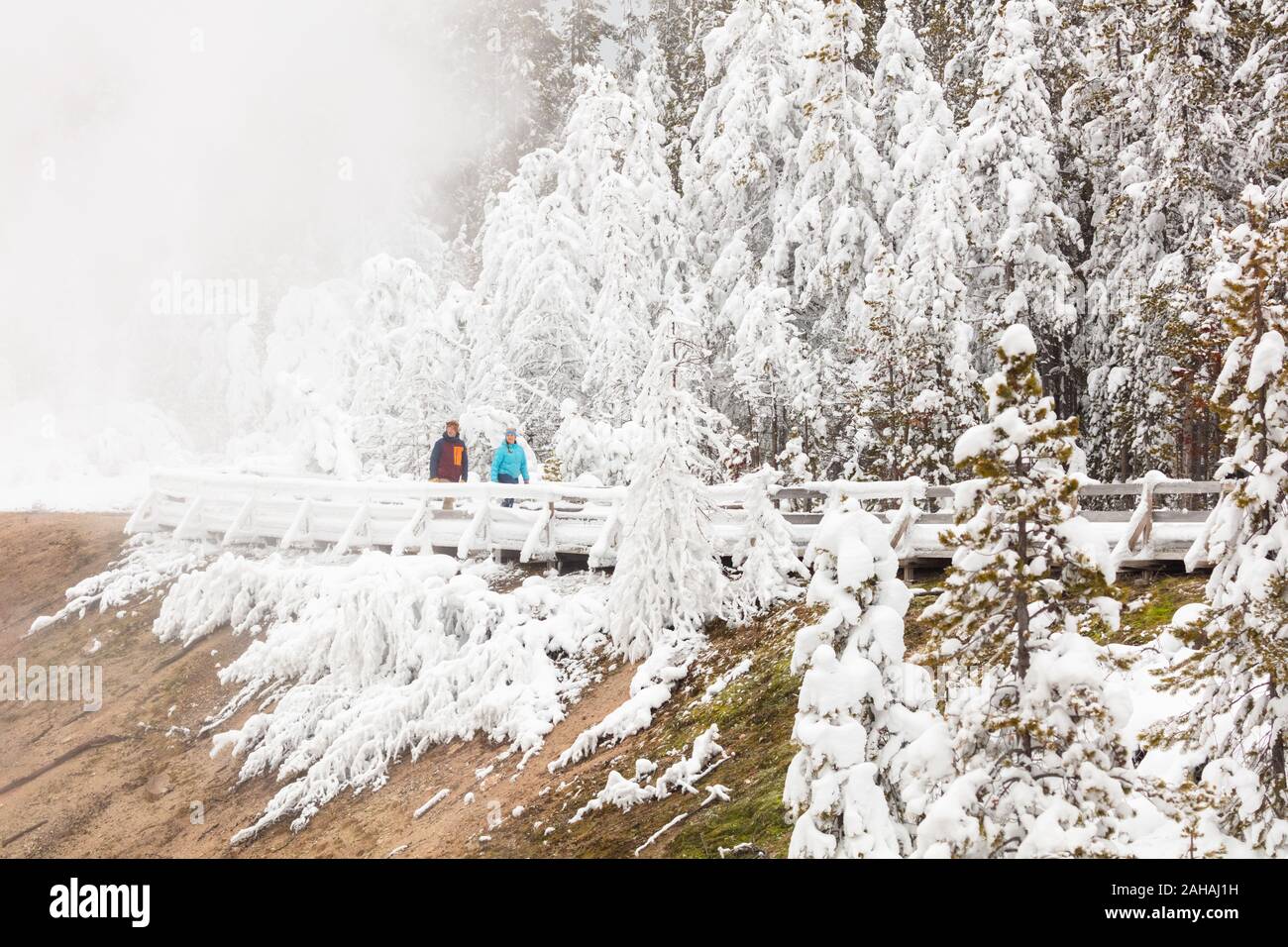 Tourists walk along a snow covered boardwalk around the Porcelain Basin at the Norris Geyser Basin in winter December 20, 2019 at Yellowstone National Park, Wyoming. Stock Photo