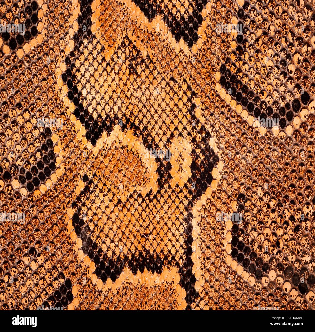 African rock python skin detail, Python sebae natalensis Stock Photo