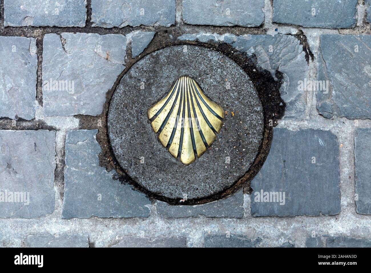 A brass shell set into the pavement, a marker for the Way of St. James pilgrimage walk to Santiago de Compostela, Antwerp, Belgium Stock Photo