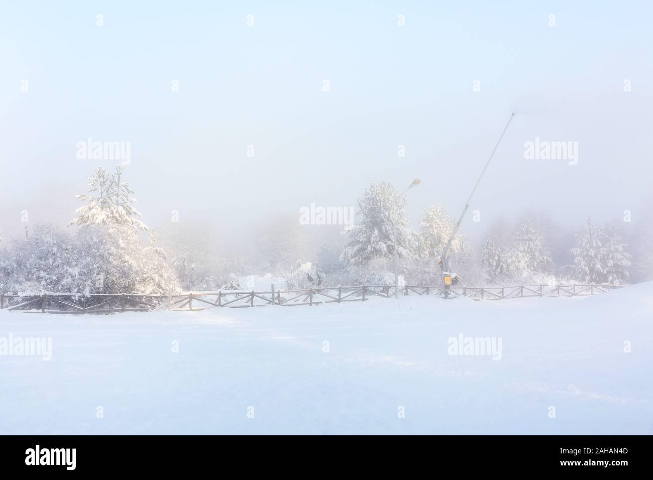 Winter Christmas background, majestic white spruces glowing by sunlight. Bansko, Bulgaria Stock Photo