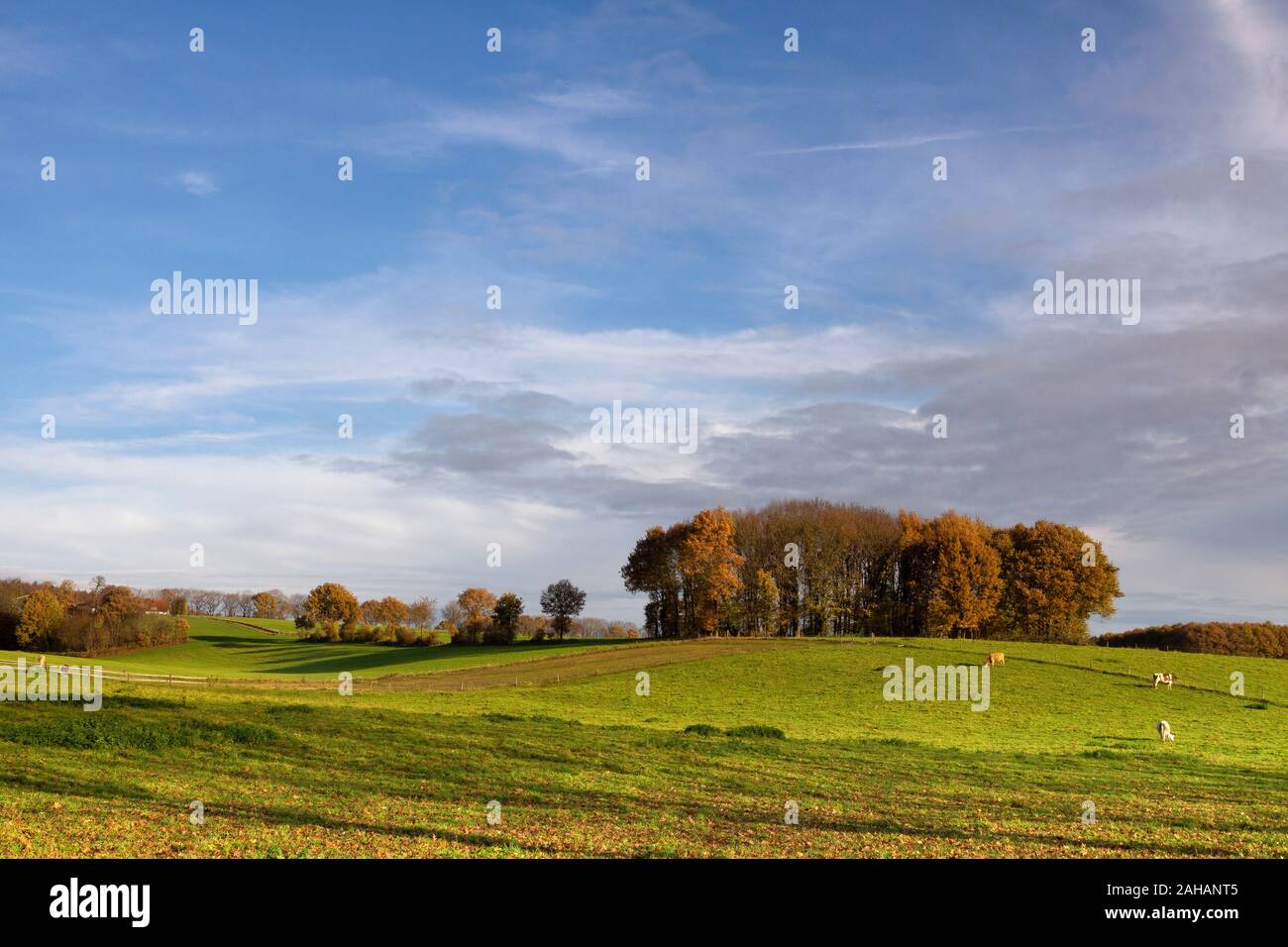 Landscape near Groesbeek Stock Photo