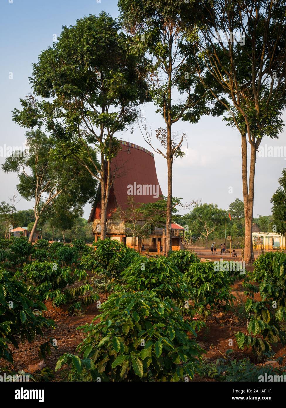 Main communal building with high pitched roof in background and coffee plants in foreground at blue sky in a village of ethnic minorities near Kon Tum Stock Photo