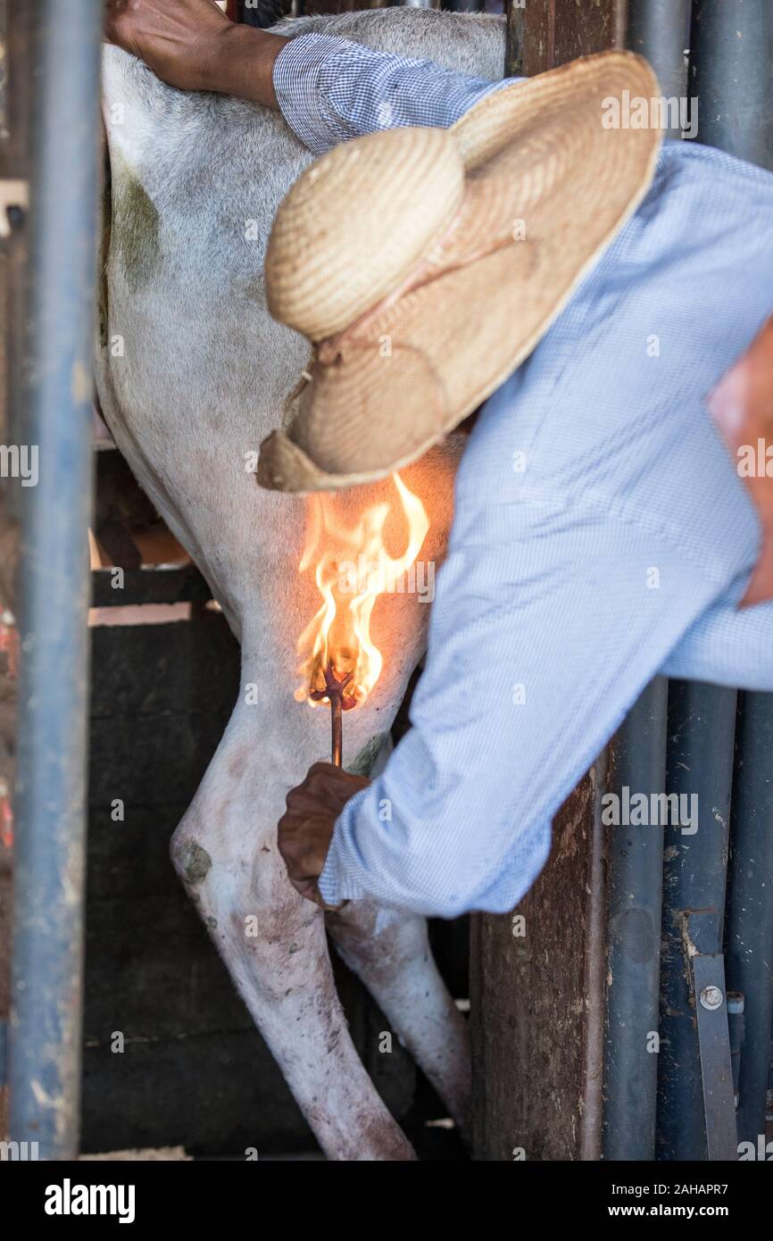Branding iron hi-res stock photography and images - Alamy