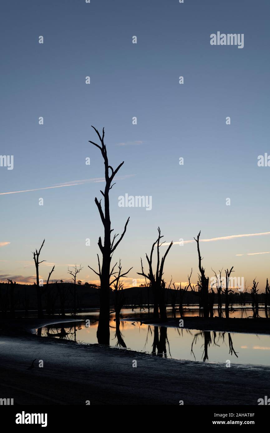 Upper reaches of Lake Hume during drought Stock Photo Alamy