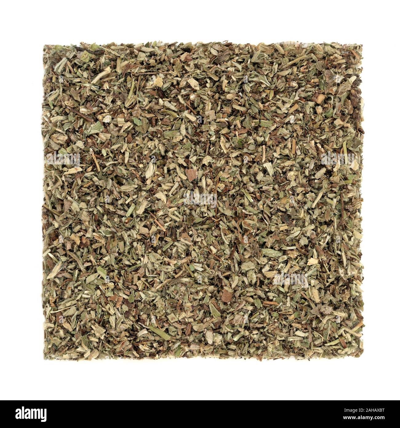 Mousear herb leaf used in herbal medicine to treat bronchitis, whooping cough, asthma and coughs