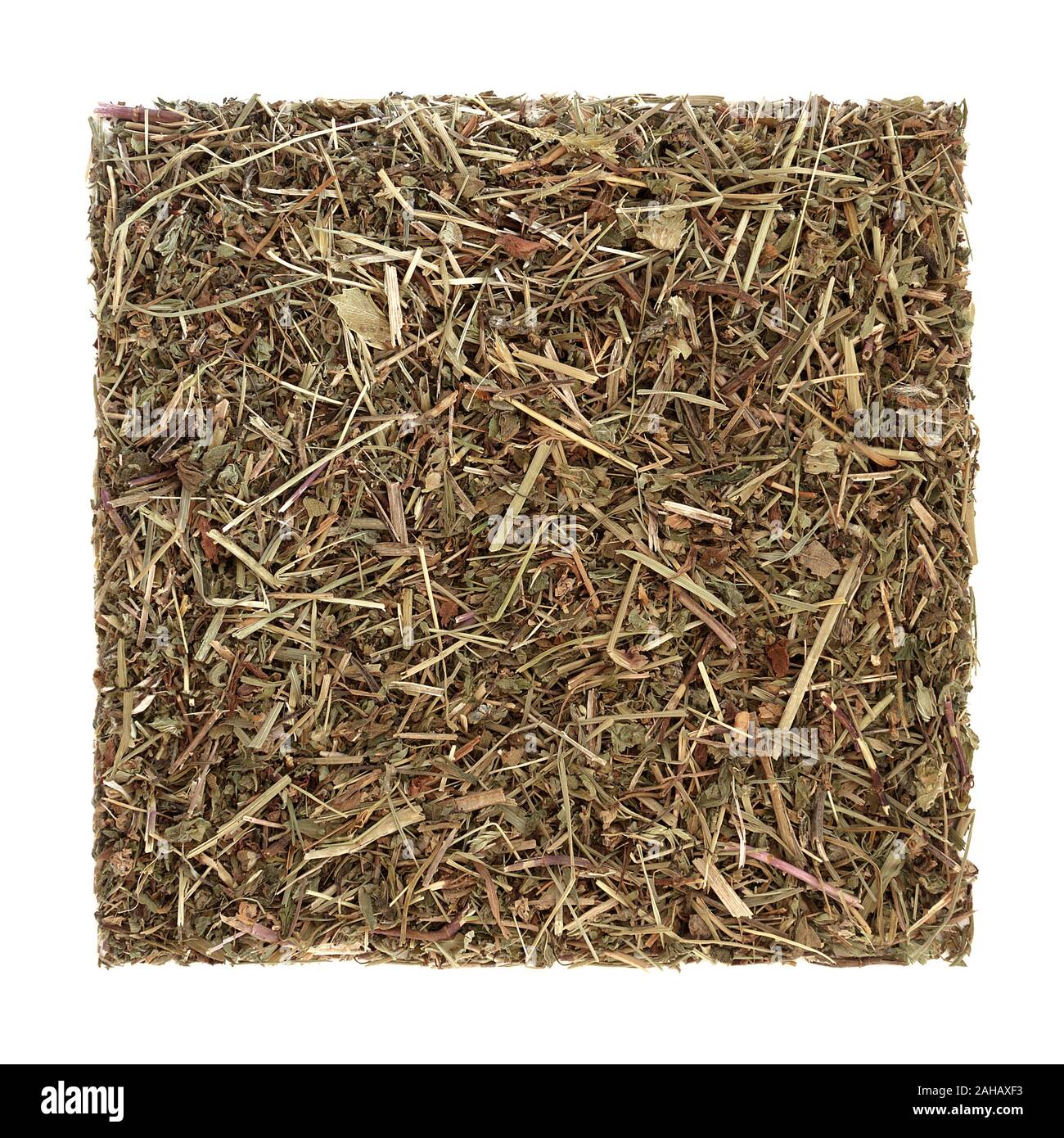 Speedwell herb leaf used in herbal medicine as a diuretic, an