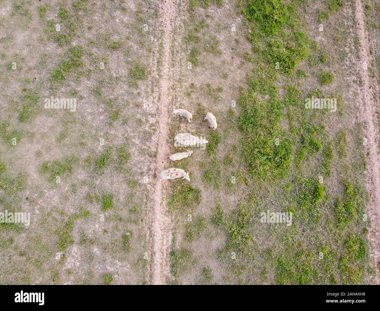 Aerial of farm hires stock photography and images Alamy