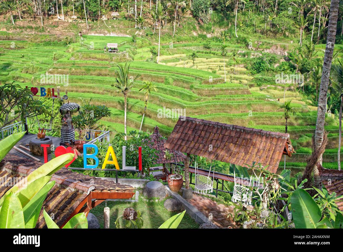 Tegallalang Rice terrace viepoint in Bali, Indonesia Stock Photo