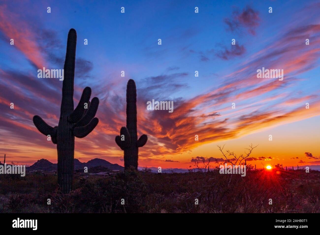 Classic Arizona Desert Landscape With Saguaro Cactus and Vibrant colored louds Stock Photo