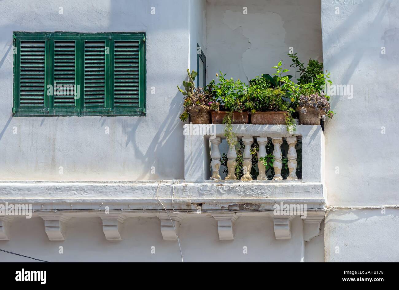 Window with green closed shutters and balcony with potted plants in
