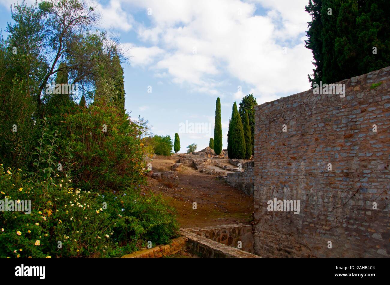 Old stone wall flowers hi-res stock photography and images - Alamy