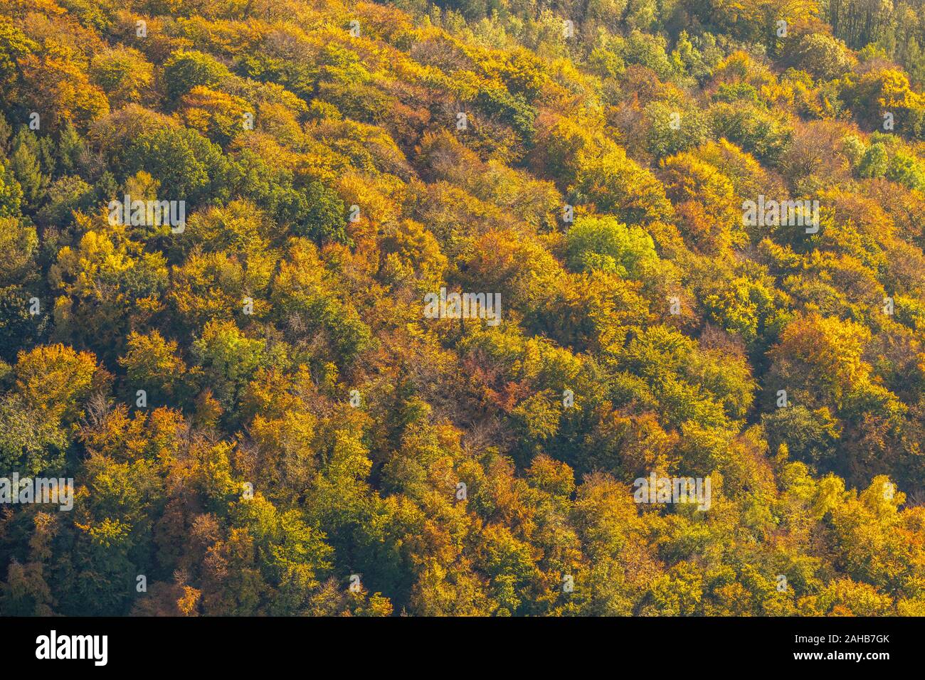 Luftbild, Herbstwald in bunten Farben, Nähe Steinbruch Habbel, Arnsberg, Sauerland, Nordrhein-Westfalen, Deutschland, DE, Europa, Herbstfarben, Herbst Stock Photo