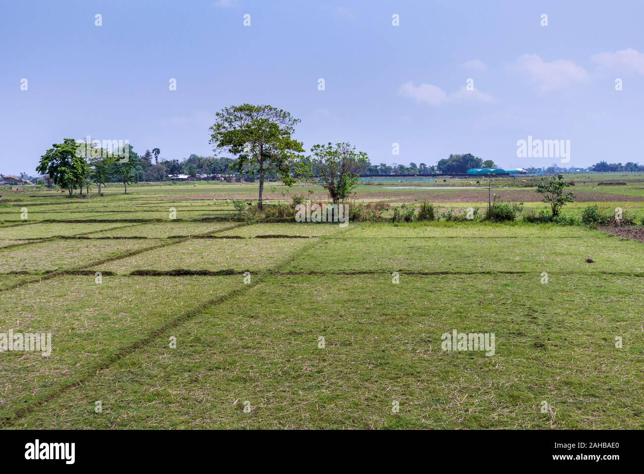 Agriculture industry india hires stock photography and images Alamy