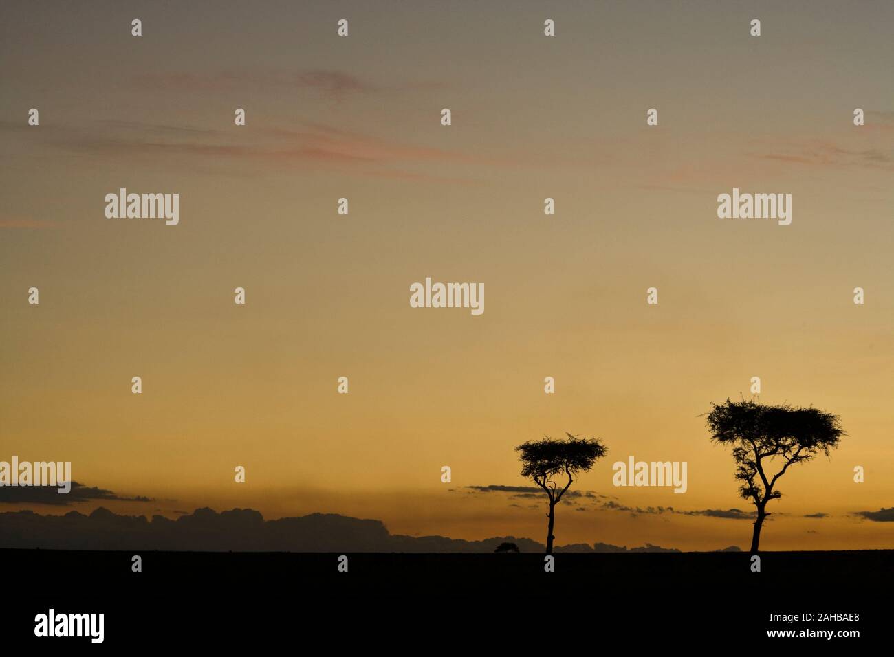 African sunset over the Maasai Mara, Kenya Stock Photo - Alamy