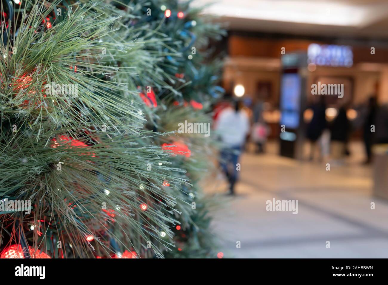Christmas tree on display in shopping mall during boxing day and year
