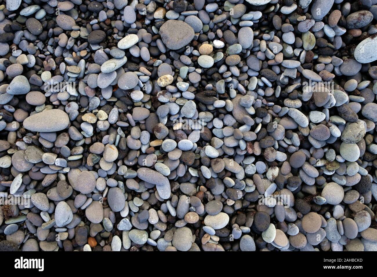 Wet and dry round stones, pebbles on the beach, collection of minerals, ocean shore. Stock Photo