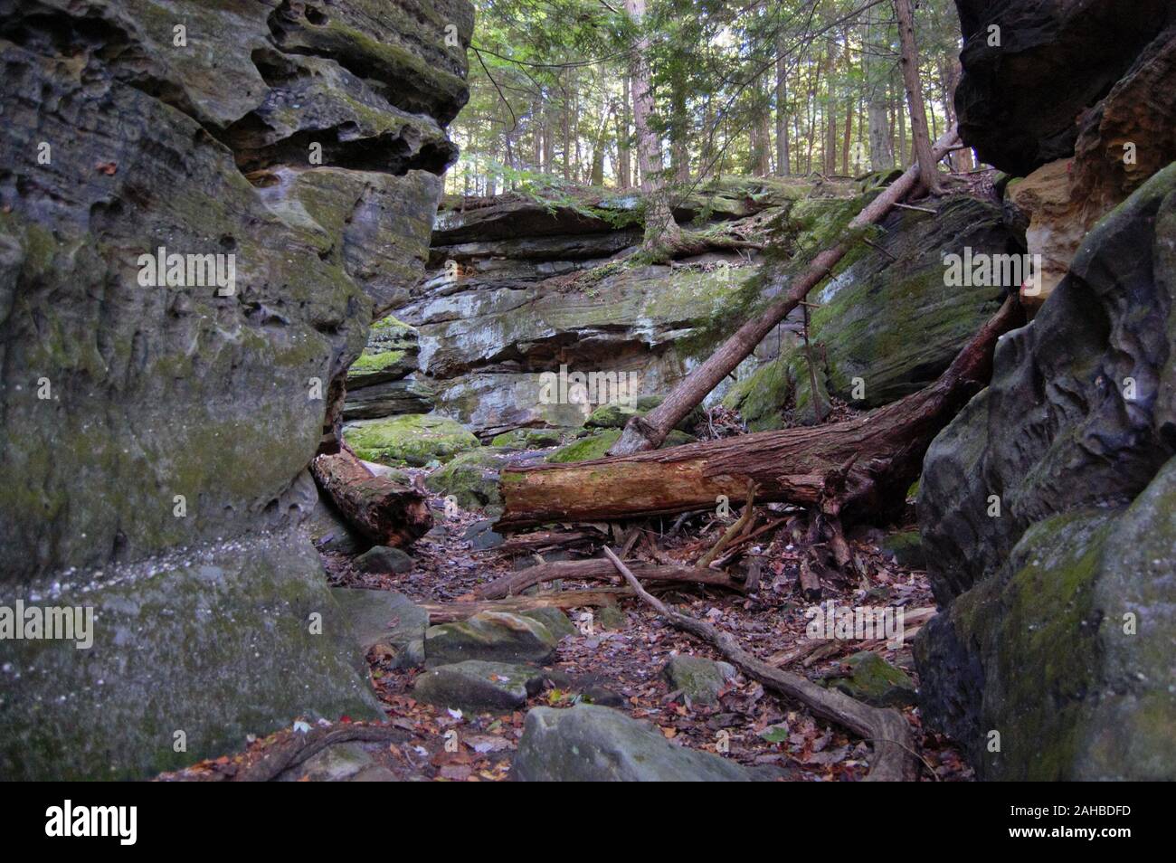 Rocks with logs and branches Stock Photo
