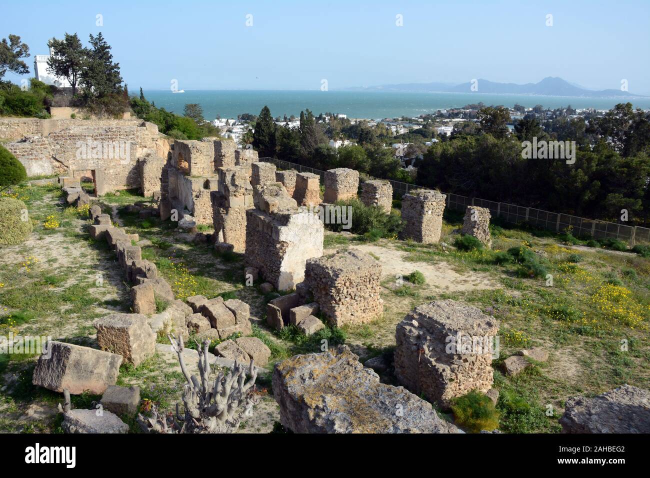 The old Punic (Carthaginian) archaeological ruins at Byrsa Hill in the posh Tunis suburb of Carthage, on the Mediterranean coast of Tunisia. Stock Photo