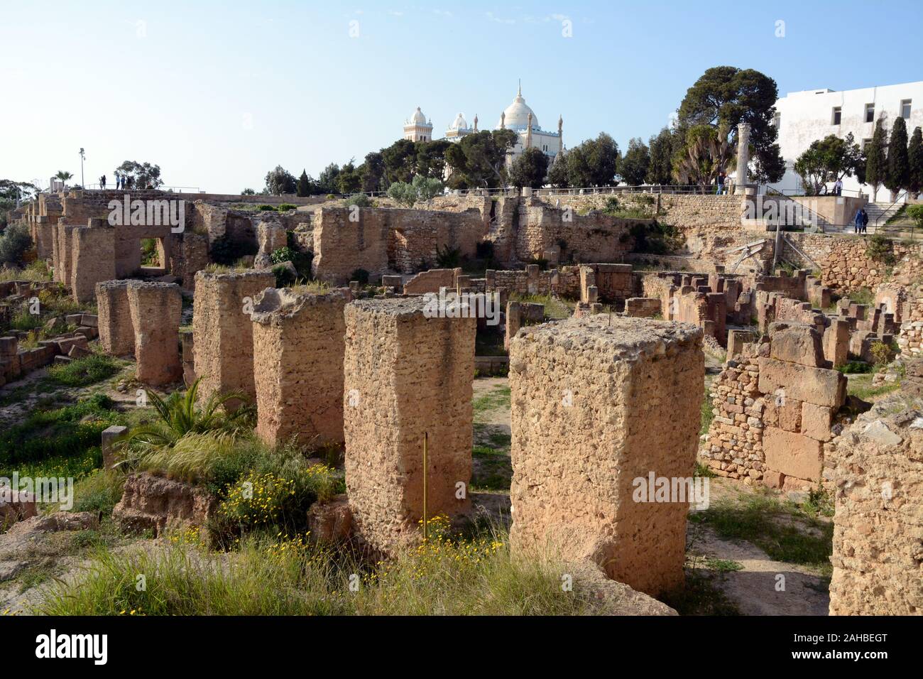 The old Punic (Carthaginian) archaeological ruins at Byrsa Hill in the posh Tunis suburb of Carthage, on the Mediterranean coast of Tunisia. Stock Photo