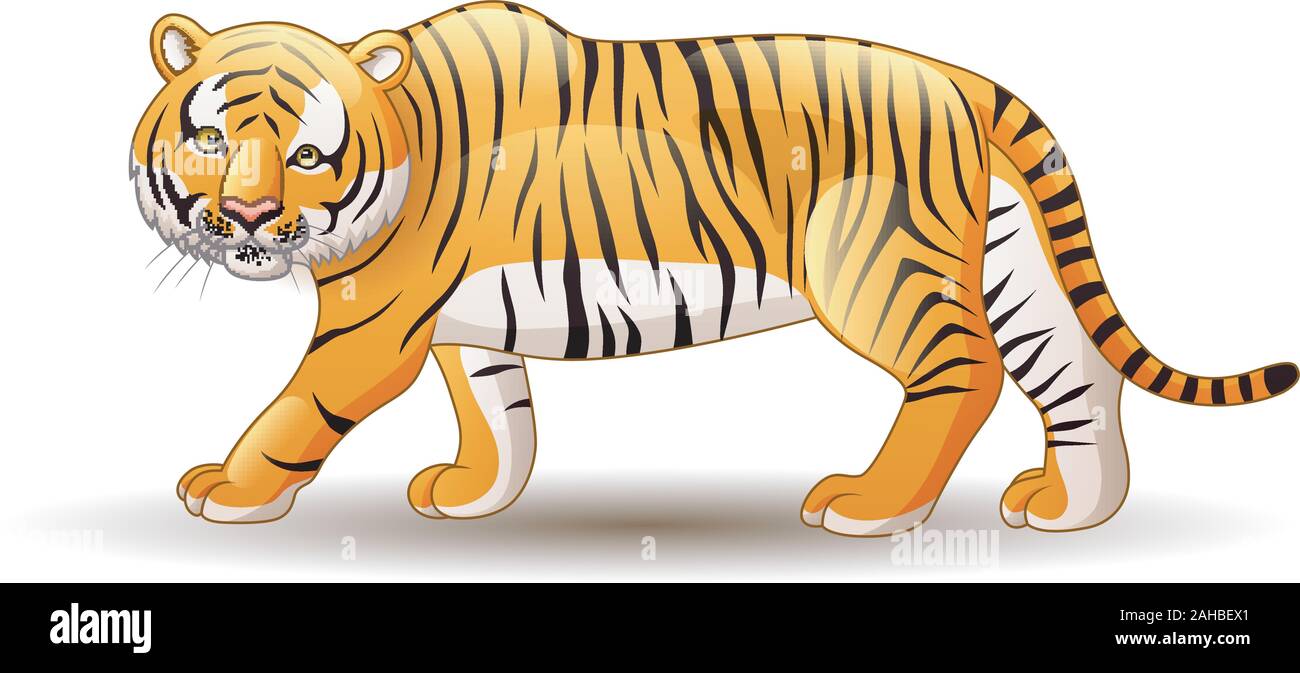 Illustration of tiger isolated on white background Stock Vector Image ...