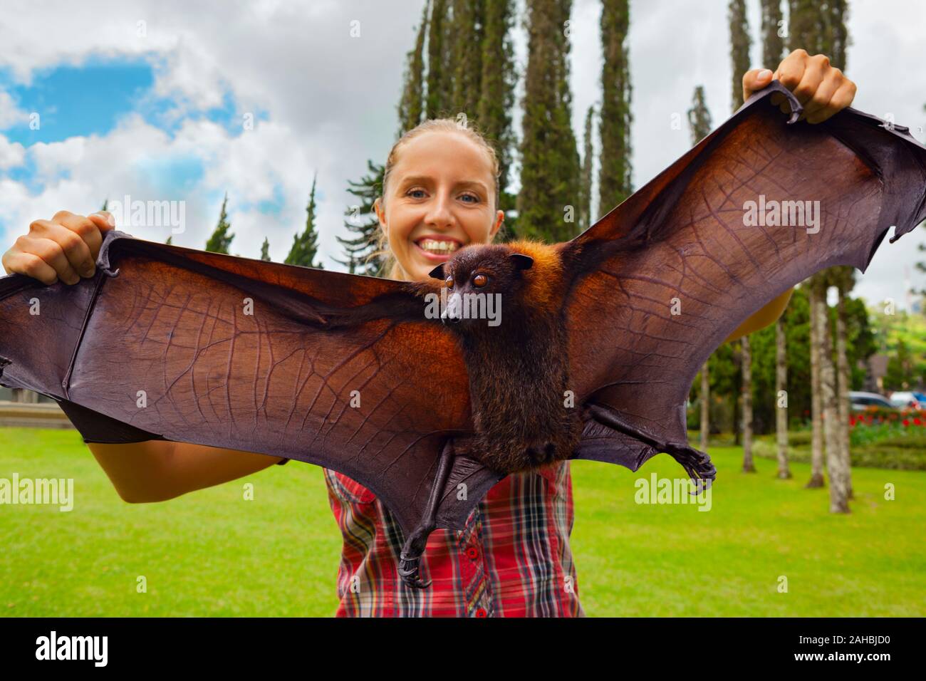 Funny portrait of young girl holding in hands giant flying fox ( fruit bat ). Day tour on family summer holidays with kids. Popular travel destination Stock Photo