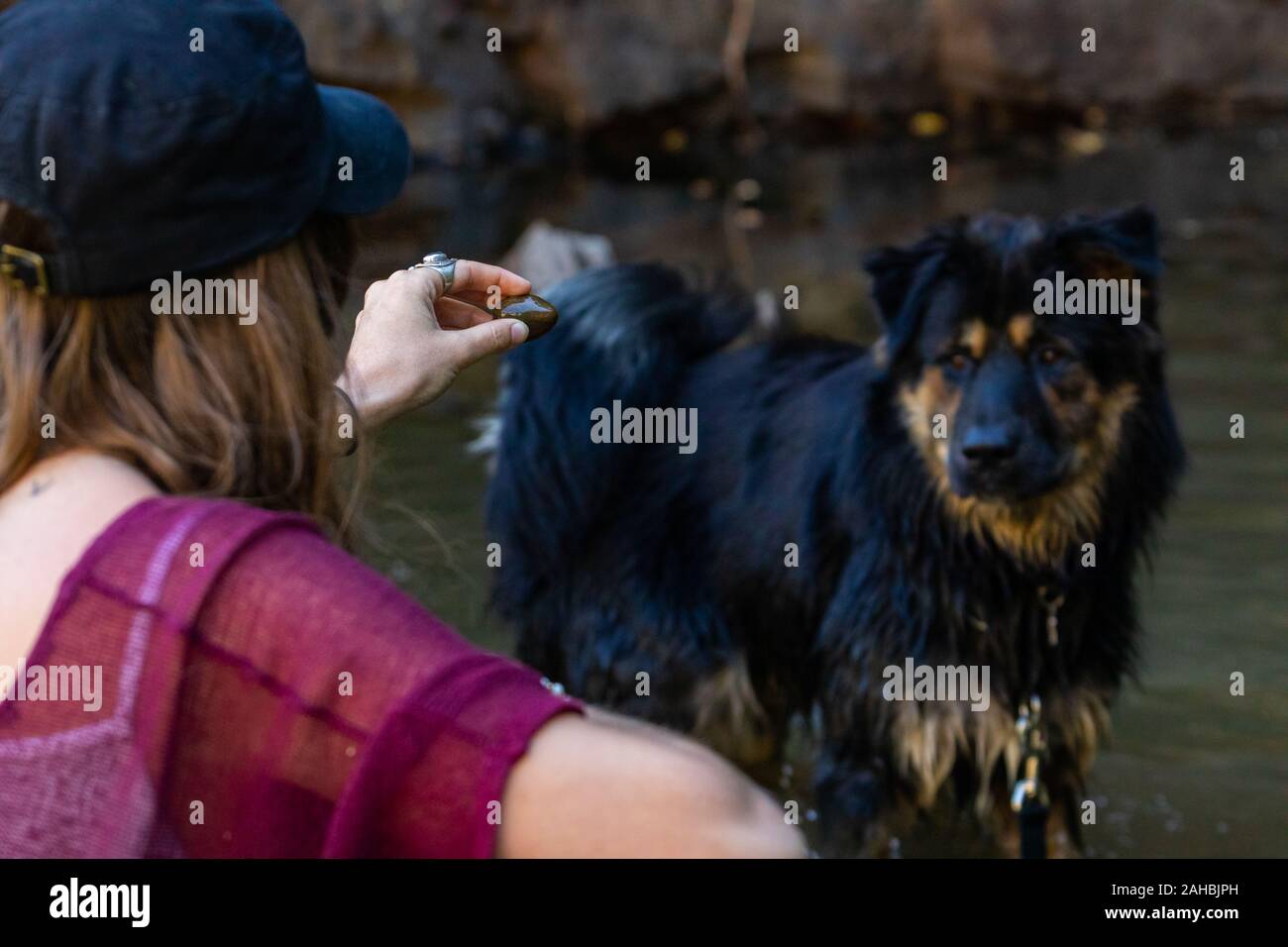 girl shows her dog a pebble in the water he looks at her all interested waiting for the girl to throw it to him Stock Photo