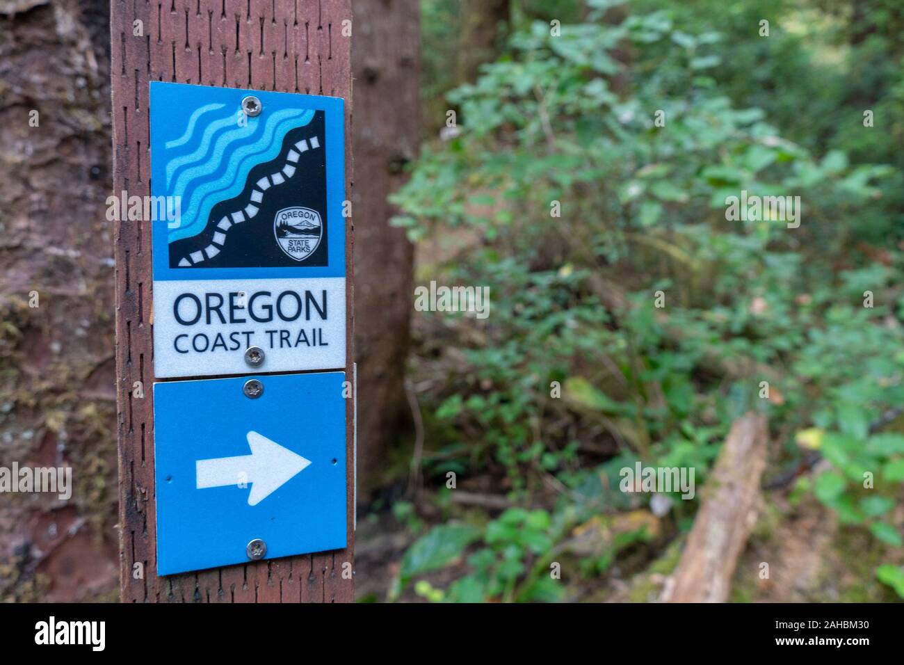 Oregon Coast Trail - Pacific Northwest during October Stock Photo