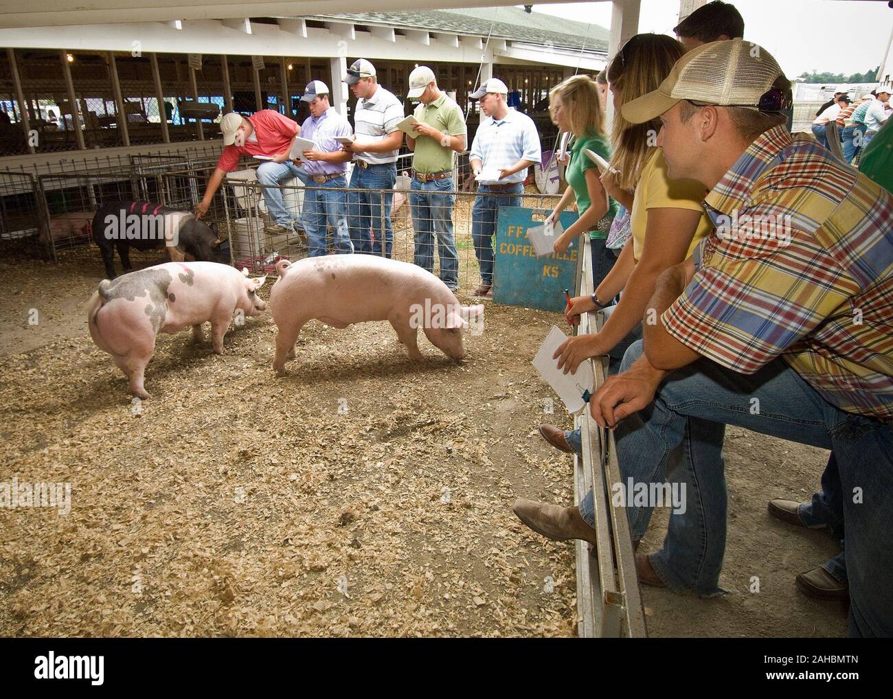 Travis stroebel hires stock photography and images Alamy