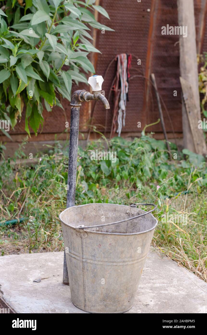 A metal bucket under a water tap in a rural yard. In the background are