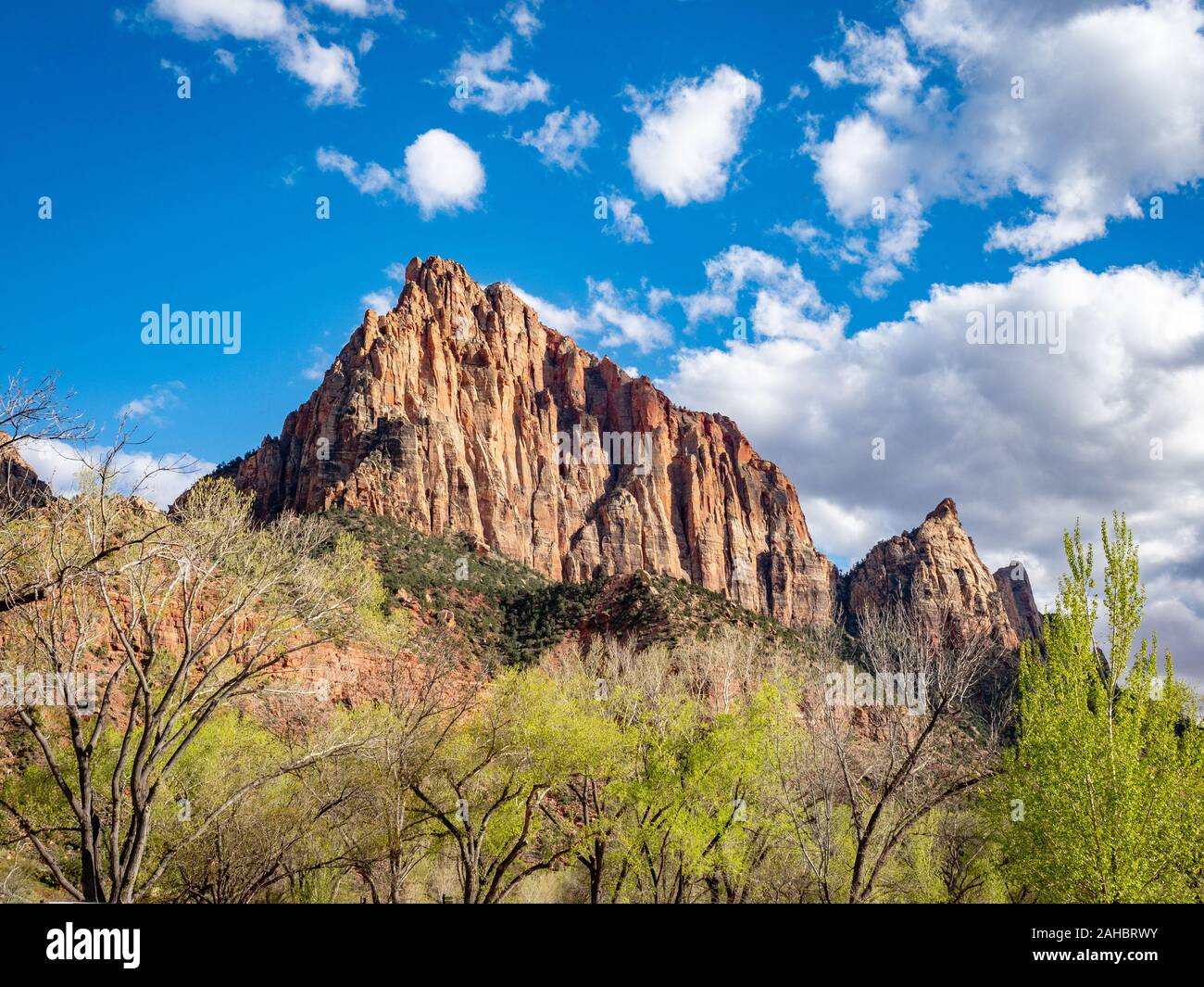 Mount Spry on a sunny day, Zion National Park, Springdale, Utah, USA Stock Photo