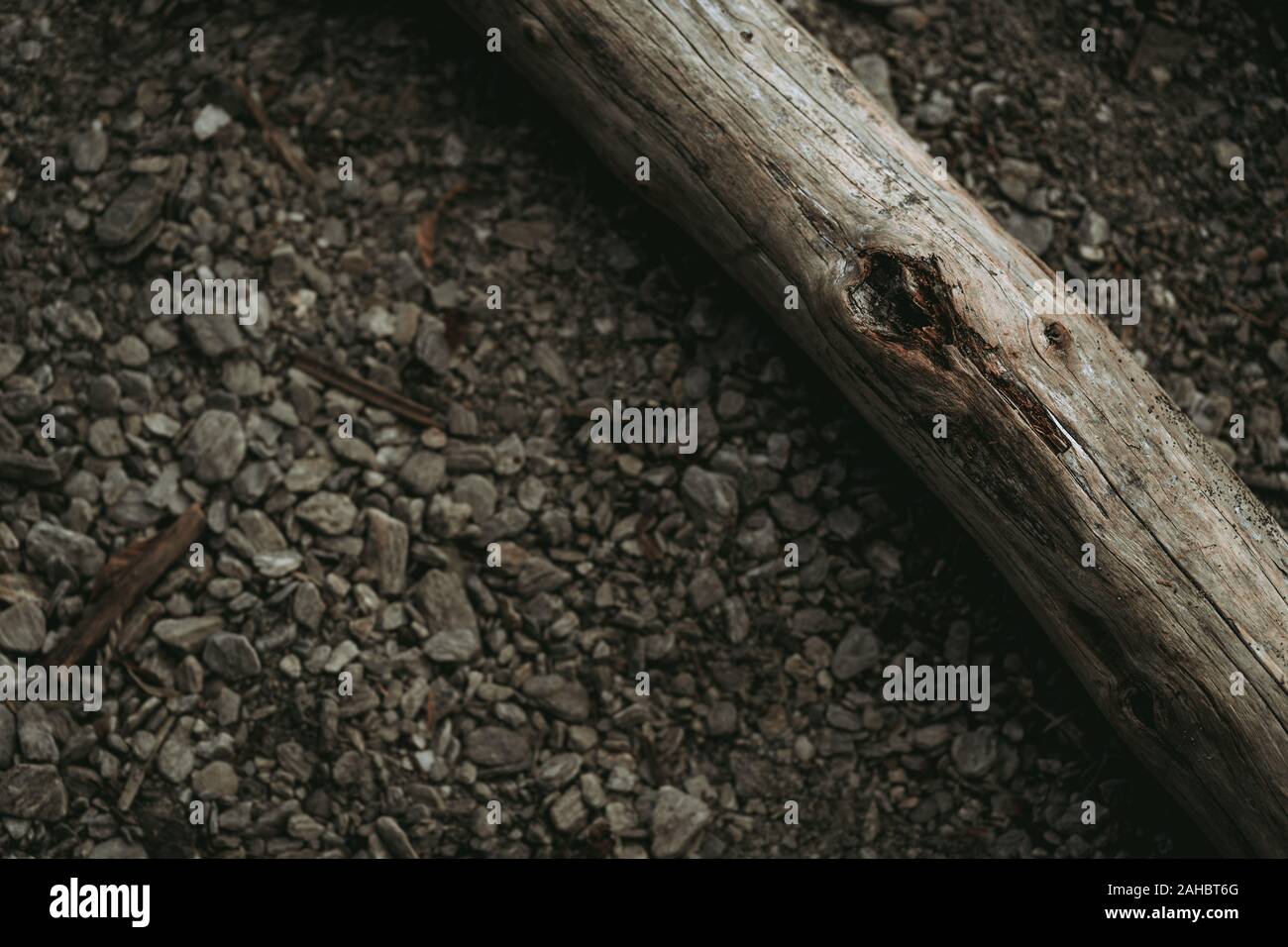 Stone texture with wood from the lake Stock Photo