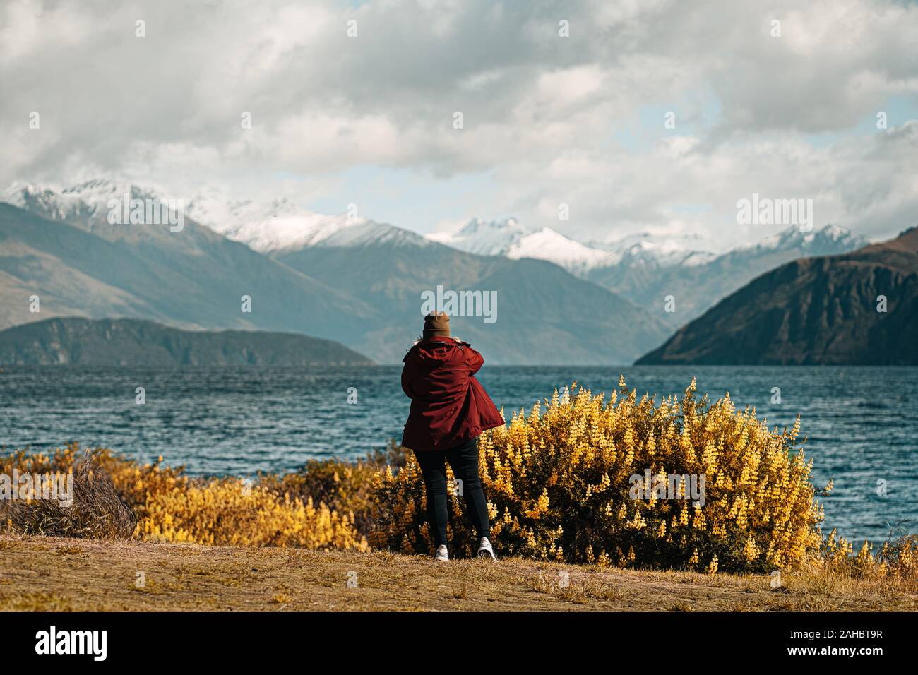 Person in front of yellow flowers with lake in background Stock Photo