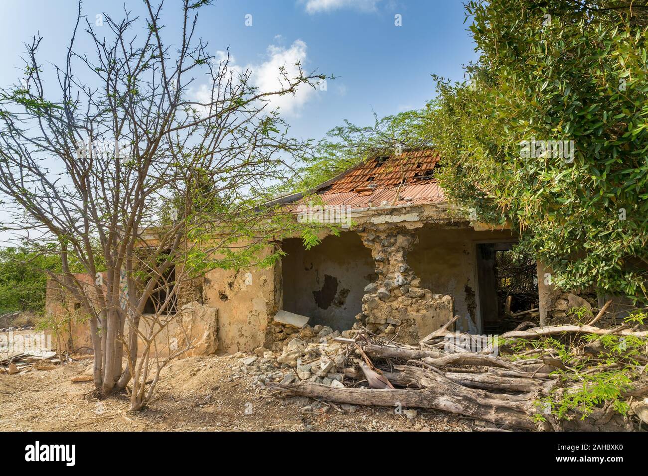 Old derelict house with trees and garden on island Bonaire Stock Photo