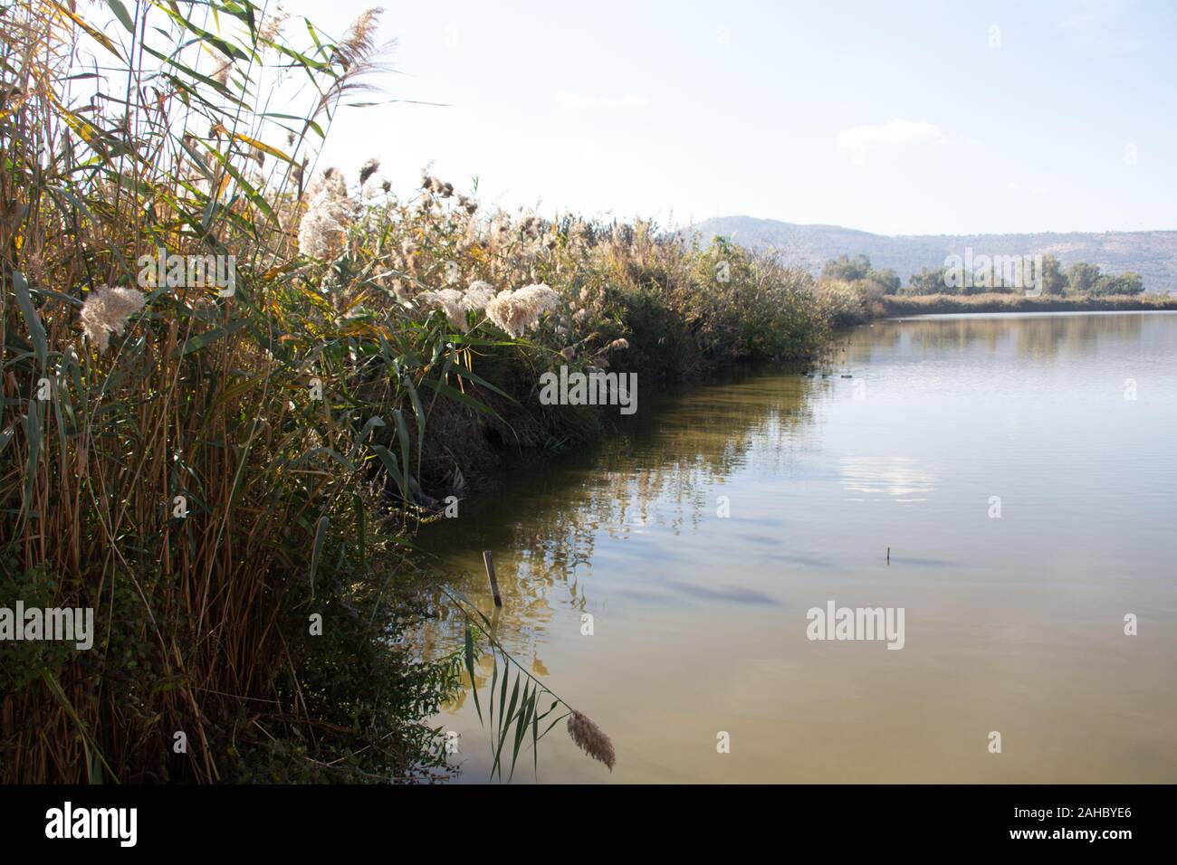 The beauty of nature Stock Photo - Alamy