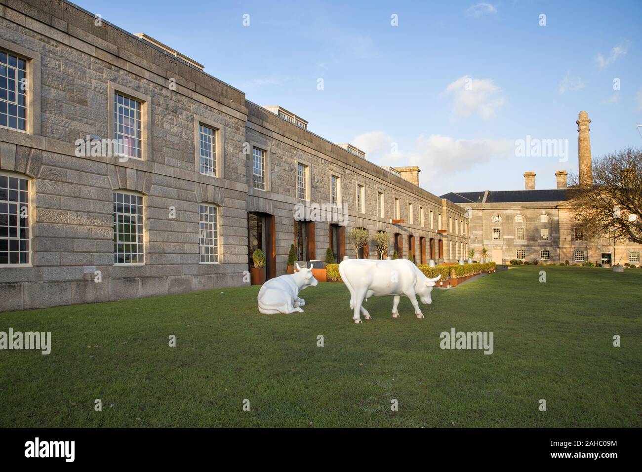 white cows at the royal william yard the old royal navy victualing yard