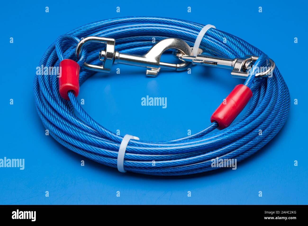 Coiled wire Dog tether with secure fastening Stock Photo