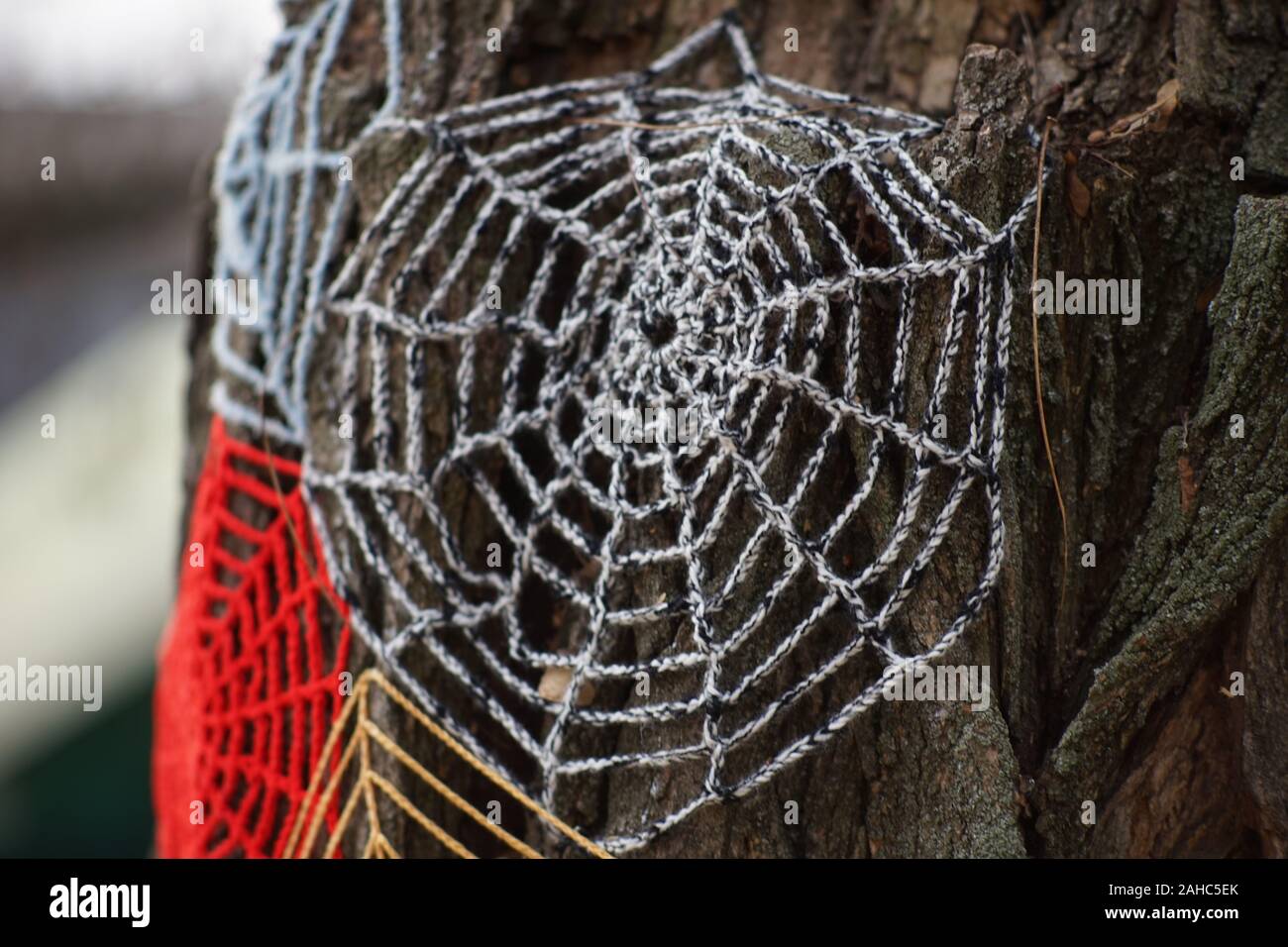 Threads tree trunk hi-res stock photography and images - Alamy