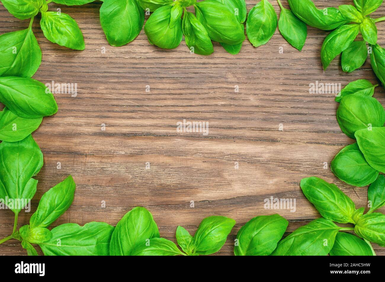 Top view fresh basil hi-res stock photography and images - Alamy
