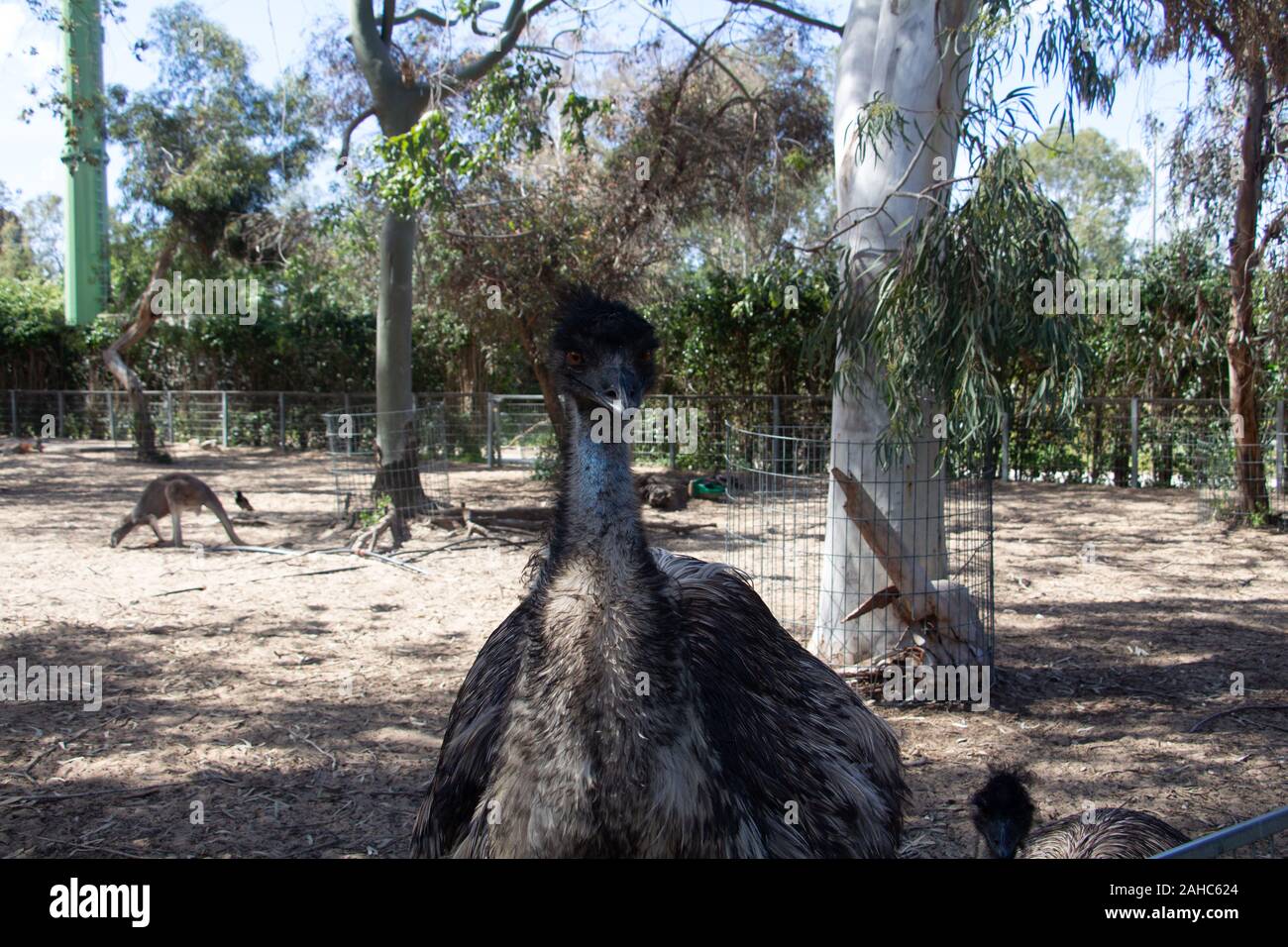 a zoo and the animals living inside it Stock Photo - Alamy