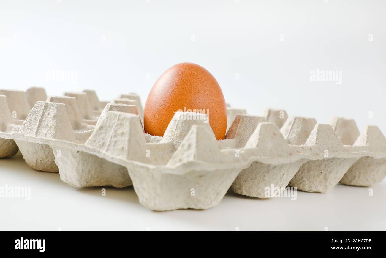 One brown egg left in a twenty dimpled egg tray Stock Photo