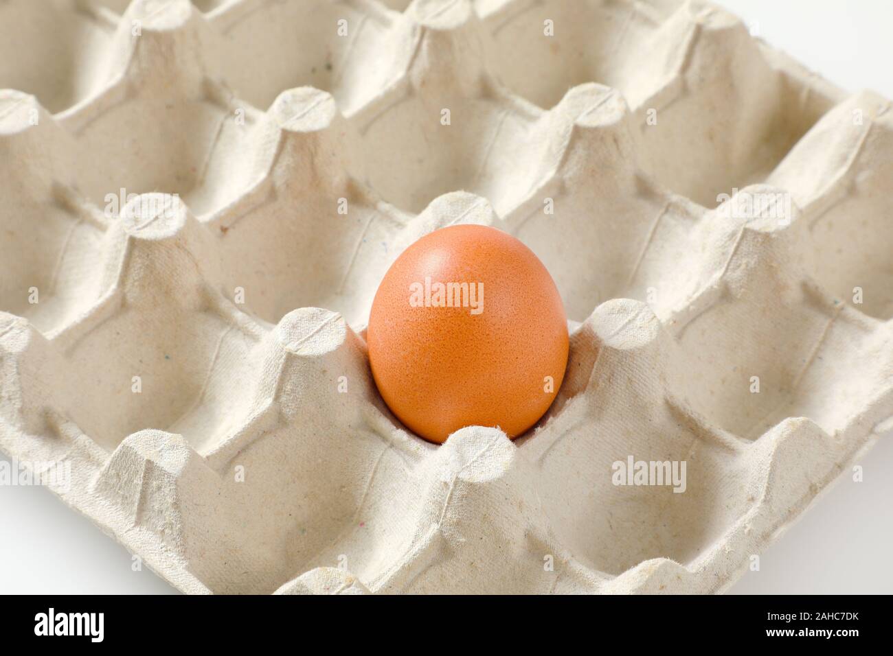 One brown egg left in a twenty dimpled egg tray Stock Photo