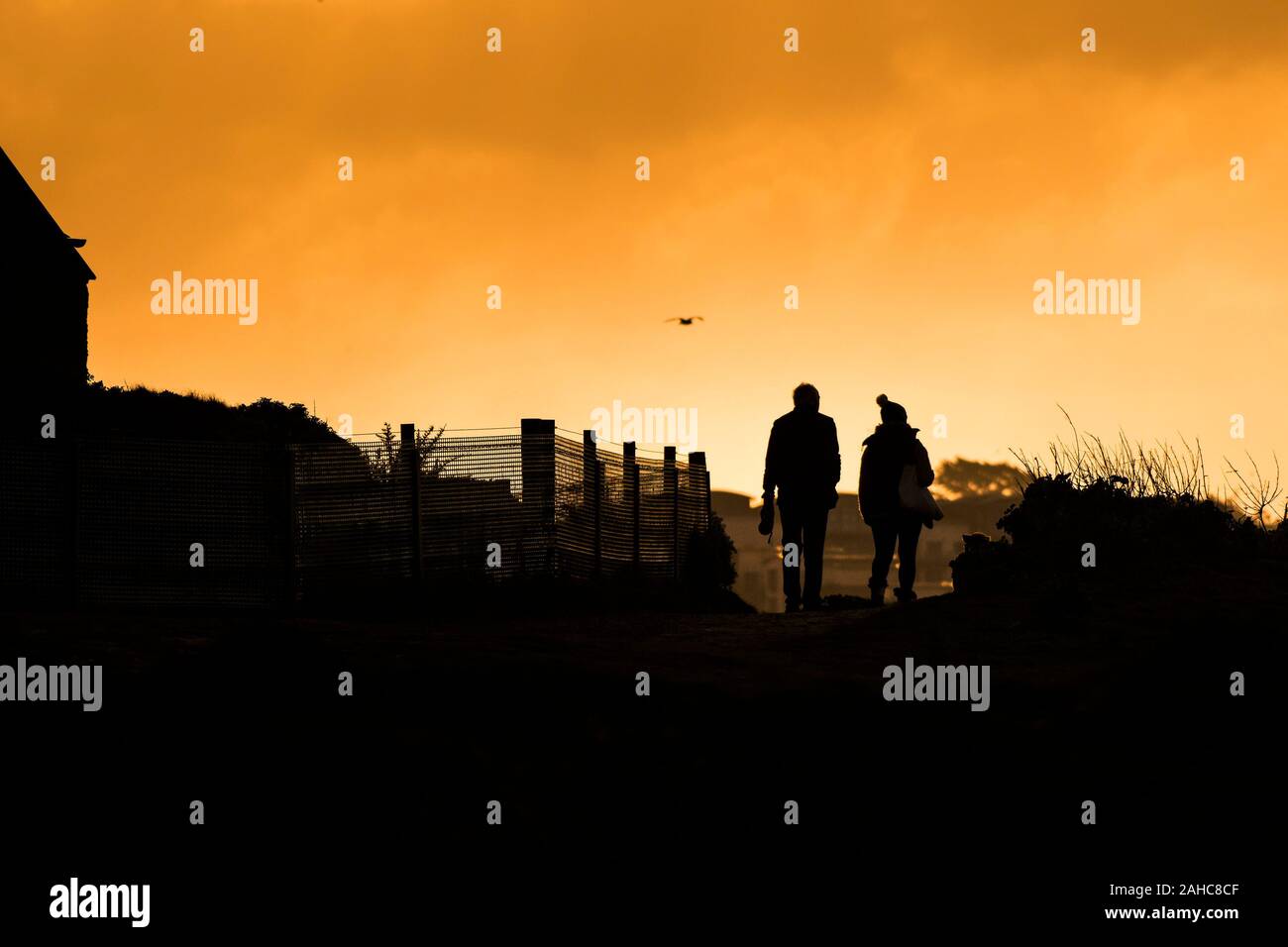 The silhouette of two people walking in evening light; Stock Photo