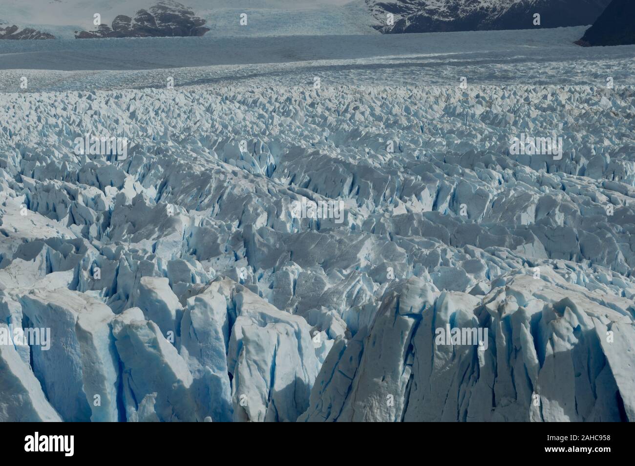 Calafate Glaciar Perito Moreno Argentina Stock Photo Alamy