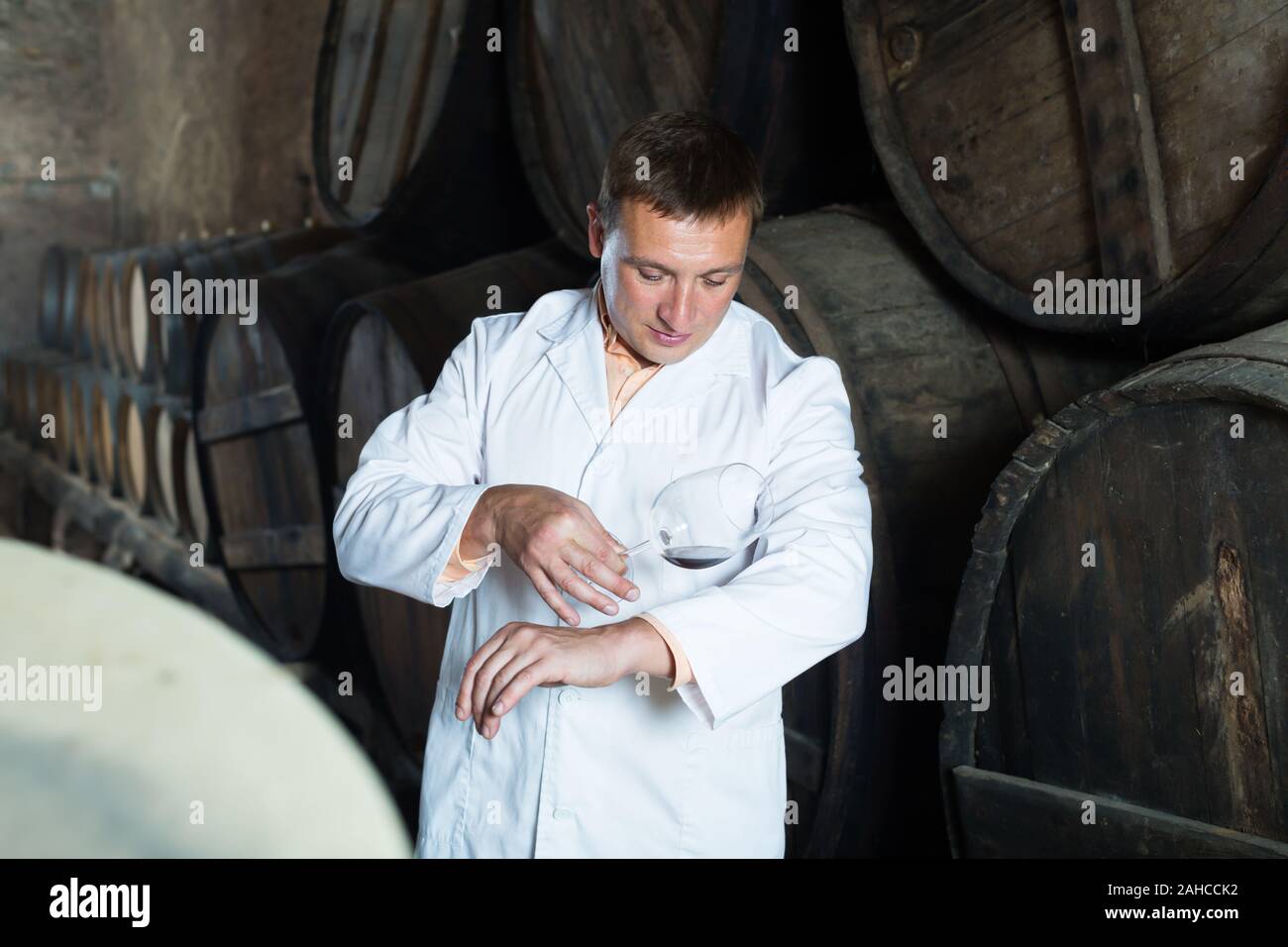 Cheerful taster posing with glass of wine in winery cellar Stock Photo ...